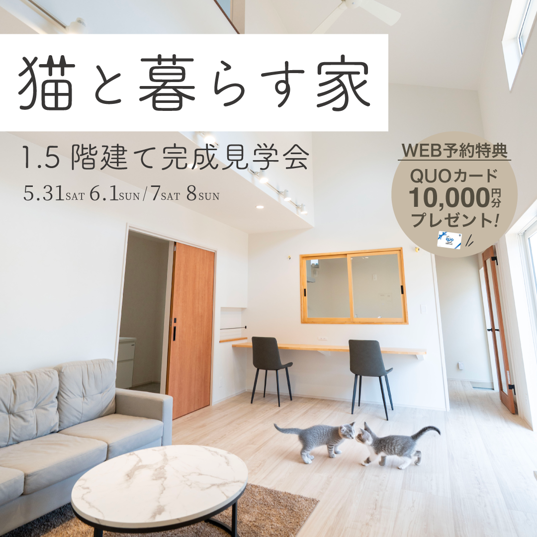 【愛猫と暮らすほぼ平屋】完成見学会｜松山市